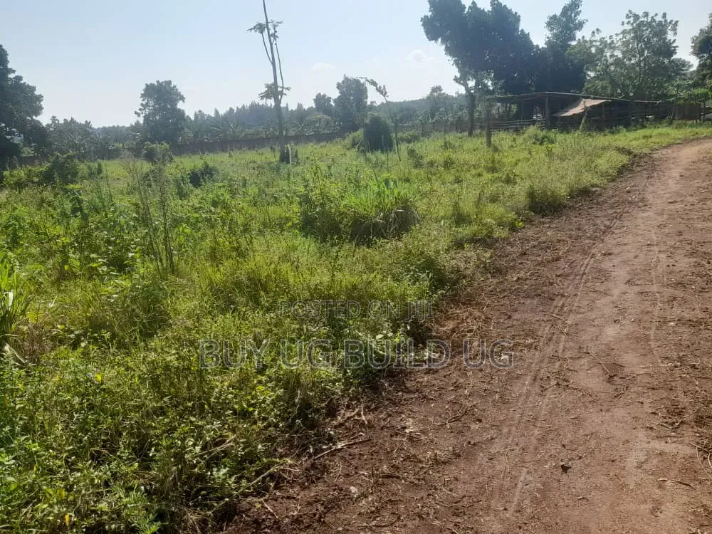 One Acre and Half Acre Title Location Busiika Kakoni All 155m