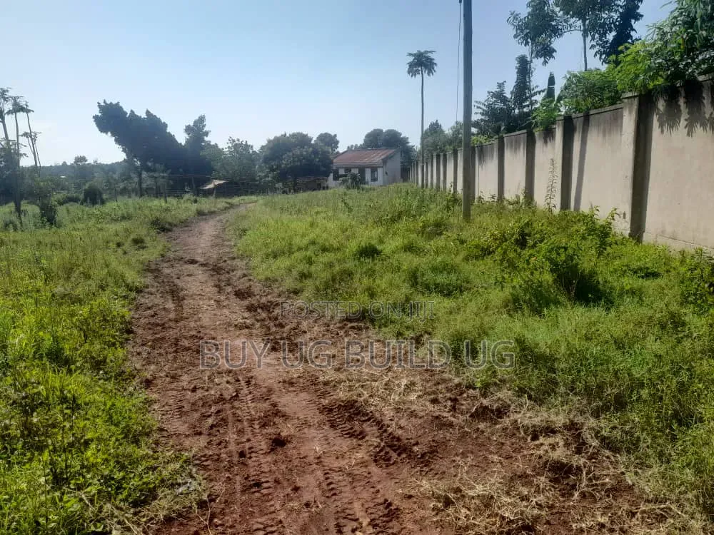 One Acre and Half Acre Title Location Busiika Kakoni All 155m