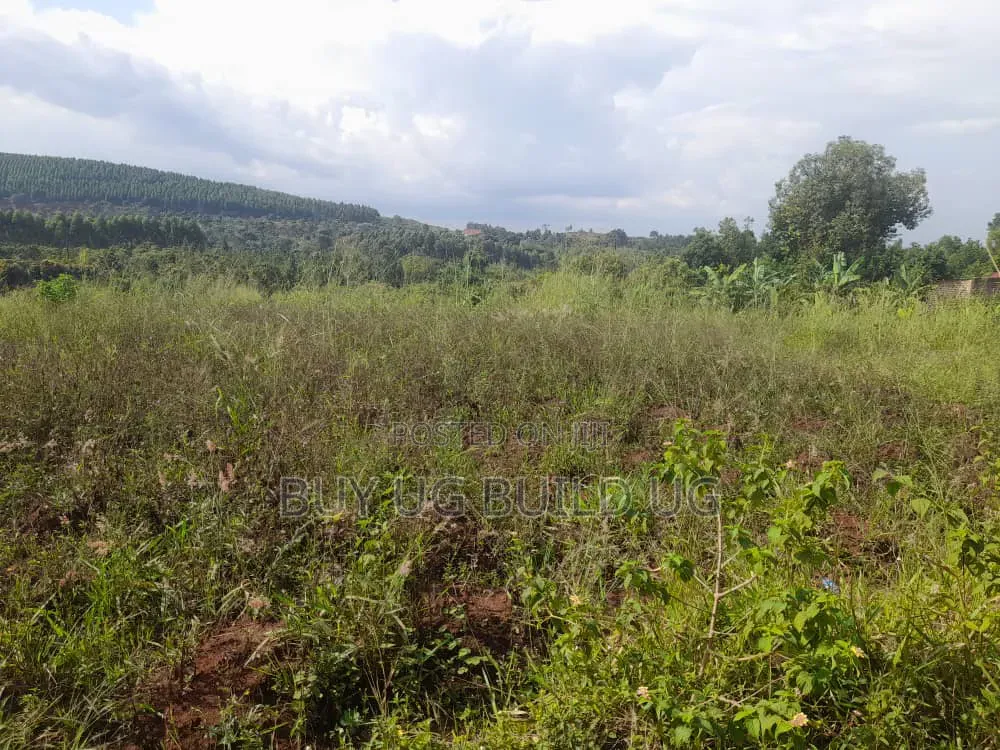 One Acre and Half Acre Title Location Bugema Kalungu Gayaza Road 95M
