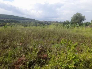 One Acre and Half Acre Title Location Bugema Kalungu Gayaza Road 95M
