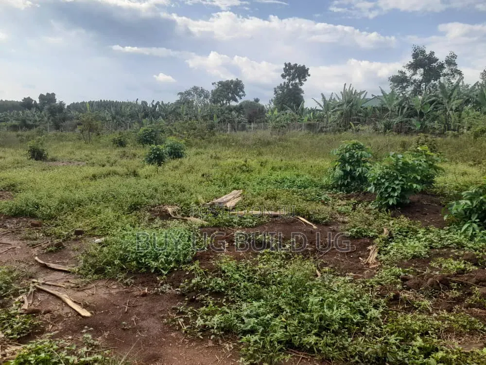 36 Decimals Title Location Busiika Kalagara Gayaza Rd 28M