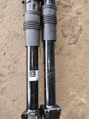 Mercedes Benz GL250, ML320 and 350 Rear Shock Absorbers