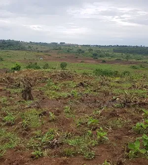 Land for Sale at Kayunga Busana 3 Achers of Land at 40,00000