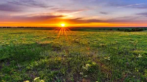 Land for Sale at Kayunga Busana 3 Achers of Land at 40,00000