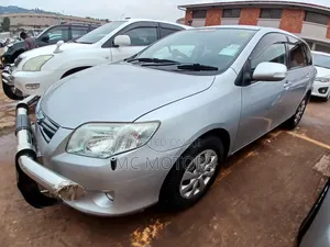 Toyota Corolla Fielder 2010 Silver