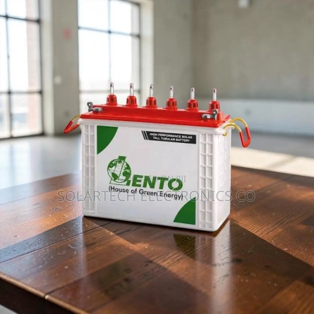 Original Lento 100Ah 12V Deep Cycle Tubular Solar Battery