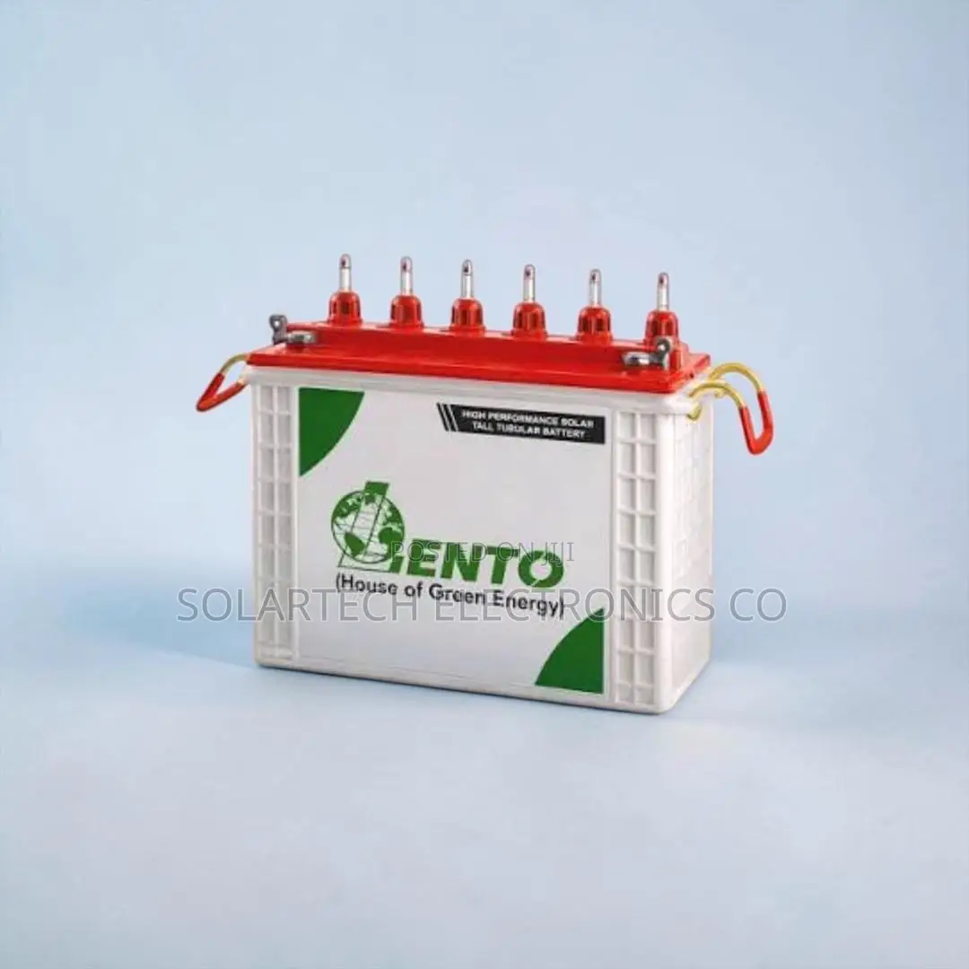 Lento 100Ah 12V Tubular Battery Ideal for Solar Power System NTS