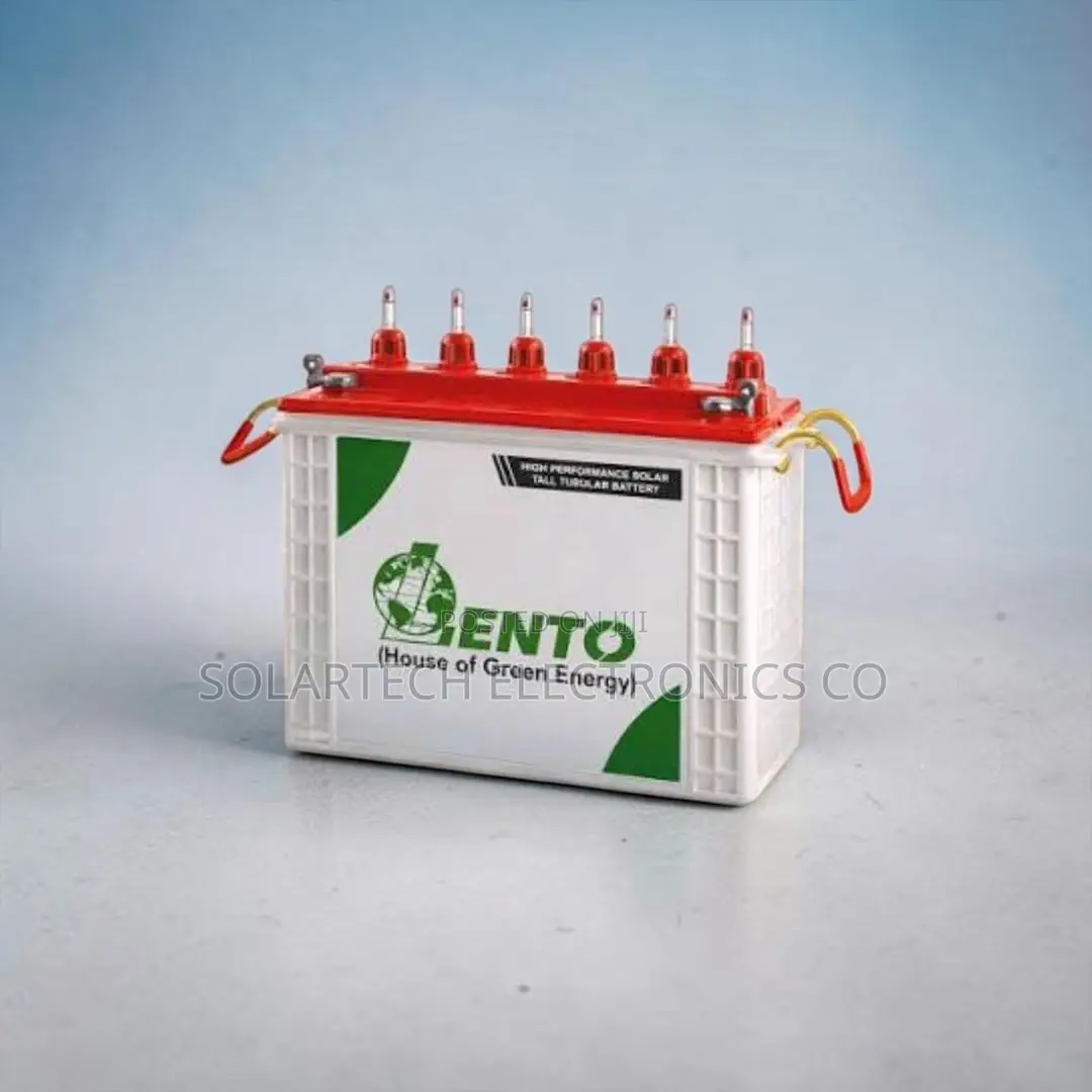 Lento 100Ah 12V Tubular Battery Ideal for Solar Power System NTS