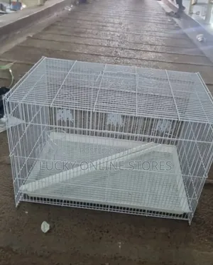 Bird Cage for Birds