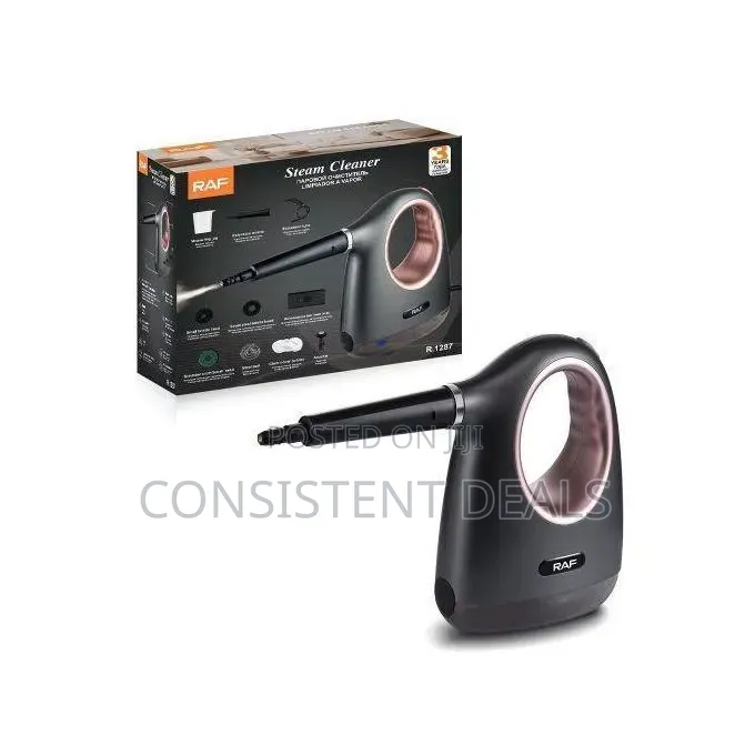 Raf Electric 300ml Steam Cleaner