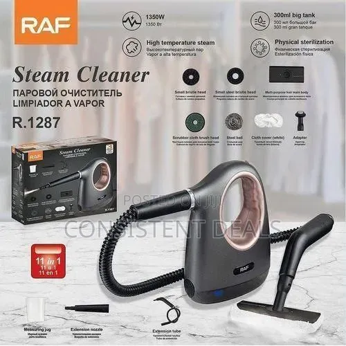 Raf Electric 300ml Steam Cleaner
