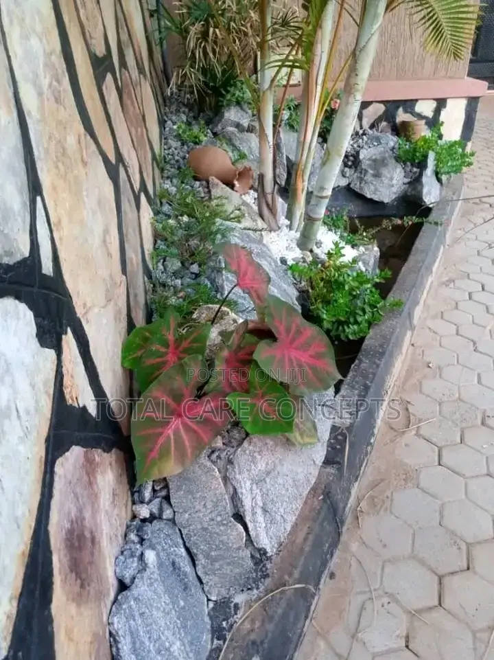 Professional Landscaping Services and Gardening Concepts