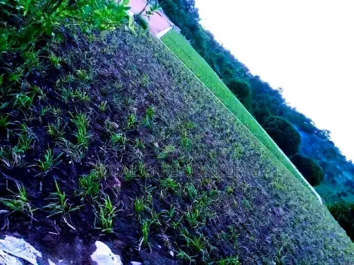 Professional Landscaping Services and Gardening Concepts
