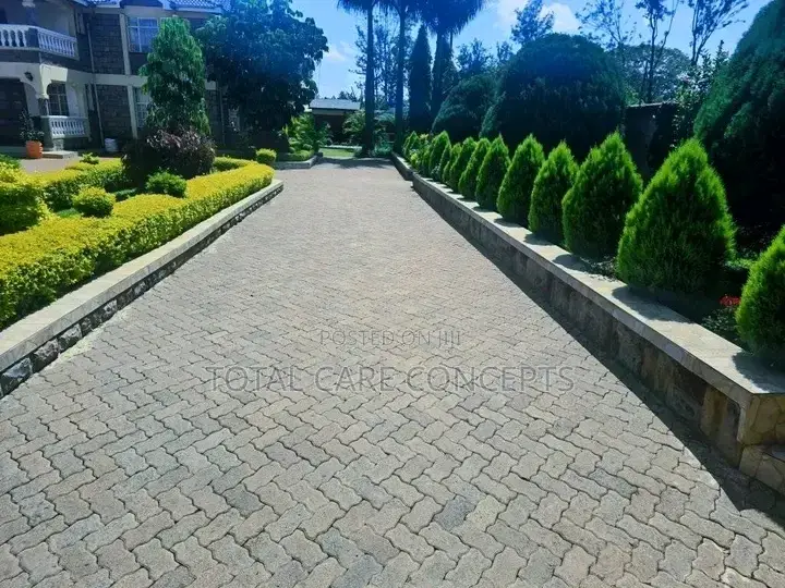 Professional Landscaping Services and Gardening Concepts