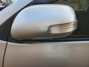 Toyota Corolla Fielder 2010 Silver