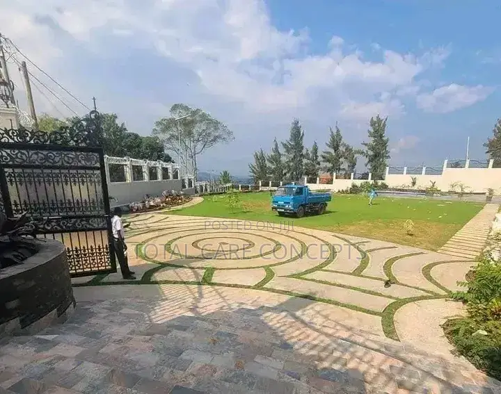 Modern Gardening Concepts and Paving
