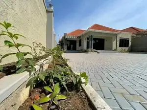 Modern Gardening Concepts and Paving