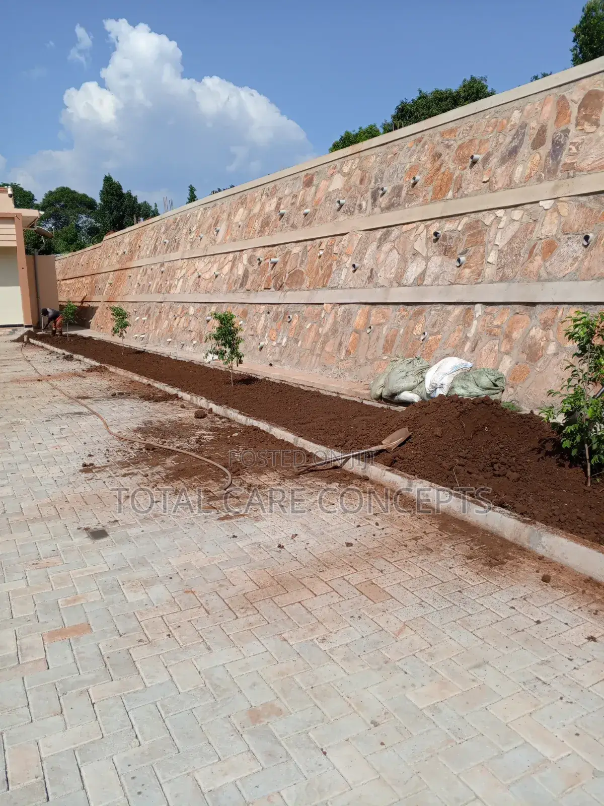 Best Gardening Services With Professionals