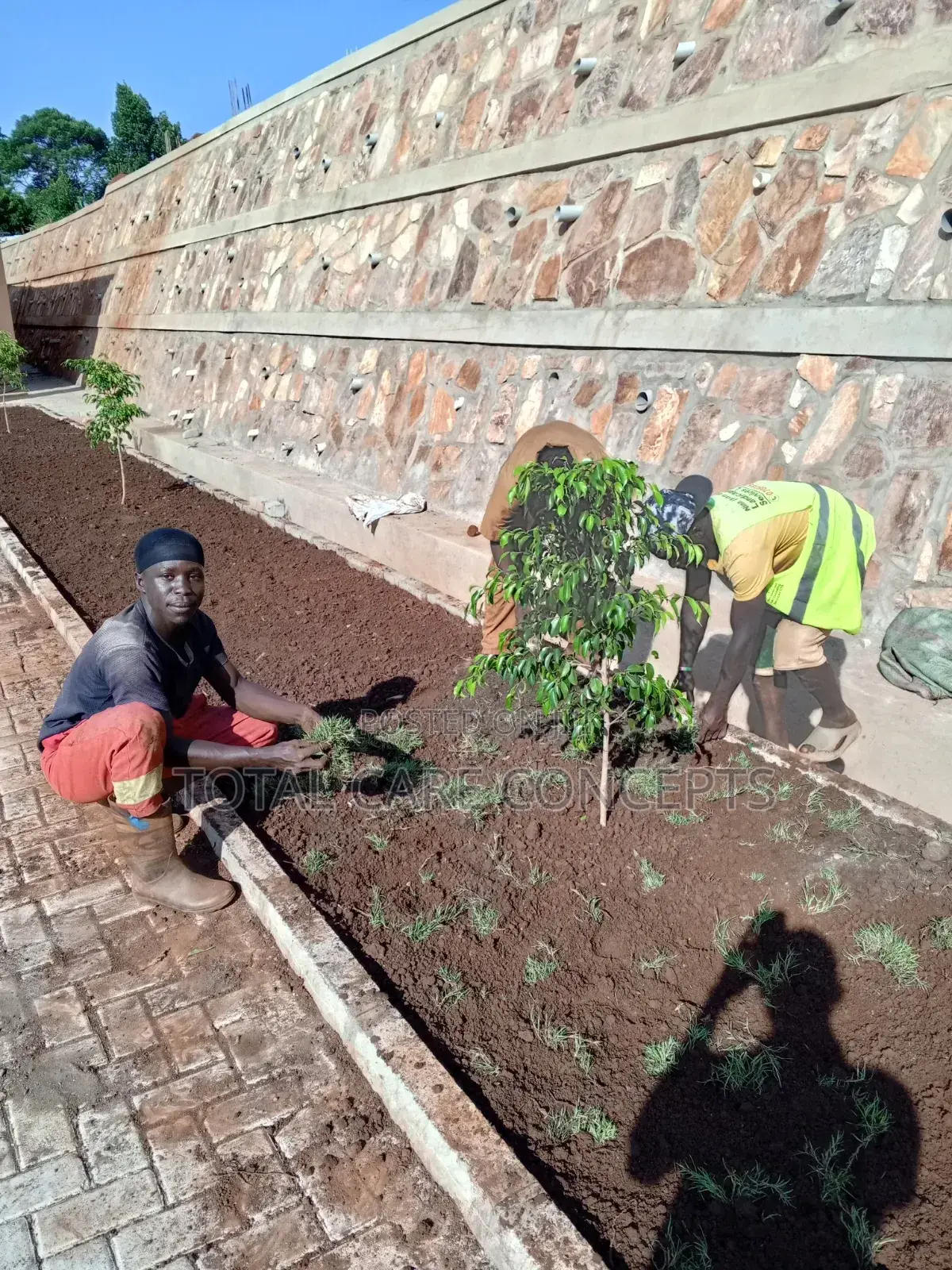 Best Gardening Services With Professionals