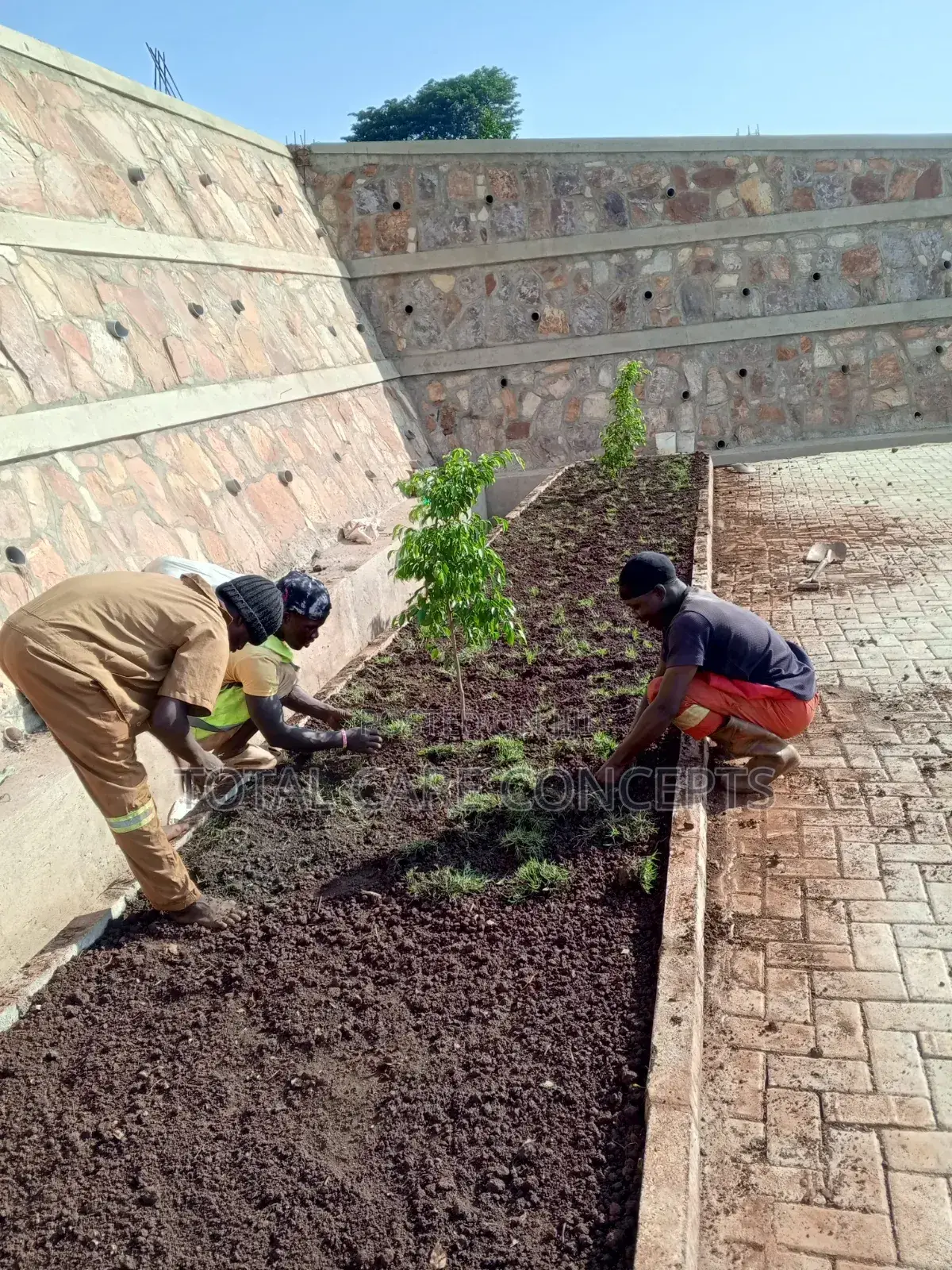 Best Gardening Services With Professionals