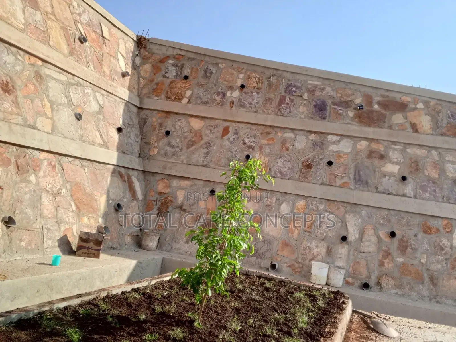 Best Gardening Services With Professionals