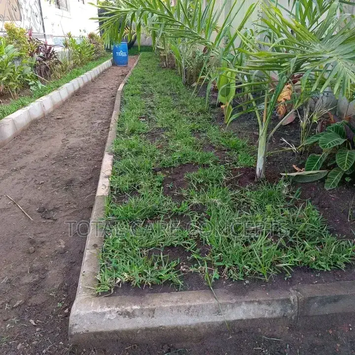Best Gardening Services With Professionals