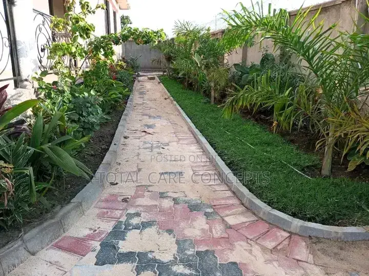 Best Gardening Services With Professionals