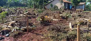 Plots for Sale