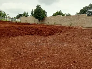 Best Landscapers and Gardening Services
