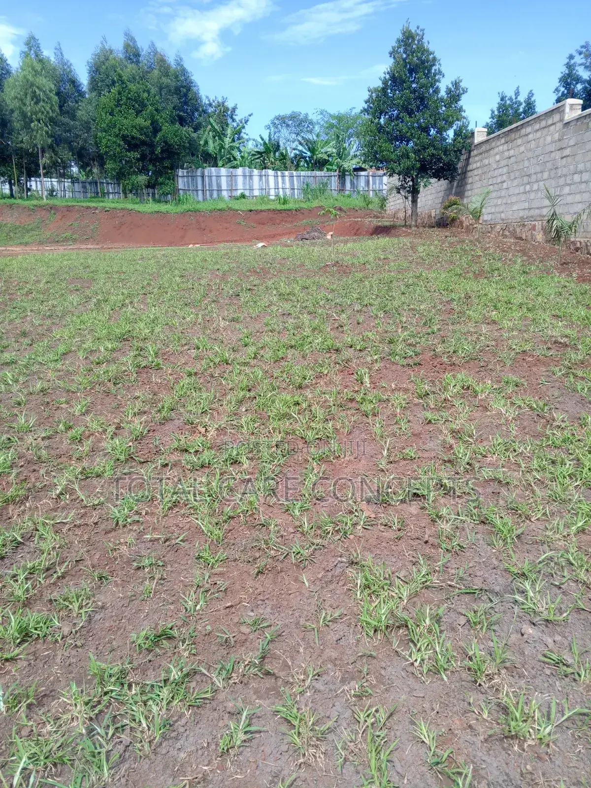 Best Landscapers and Gardening Services