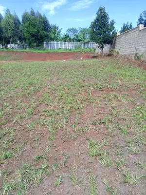 Best Landscapers and Gardening Services