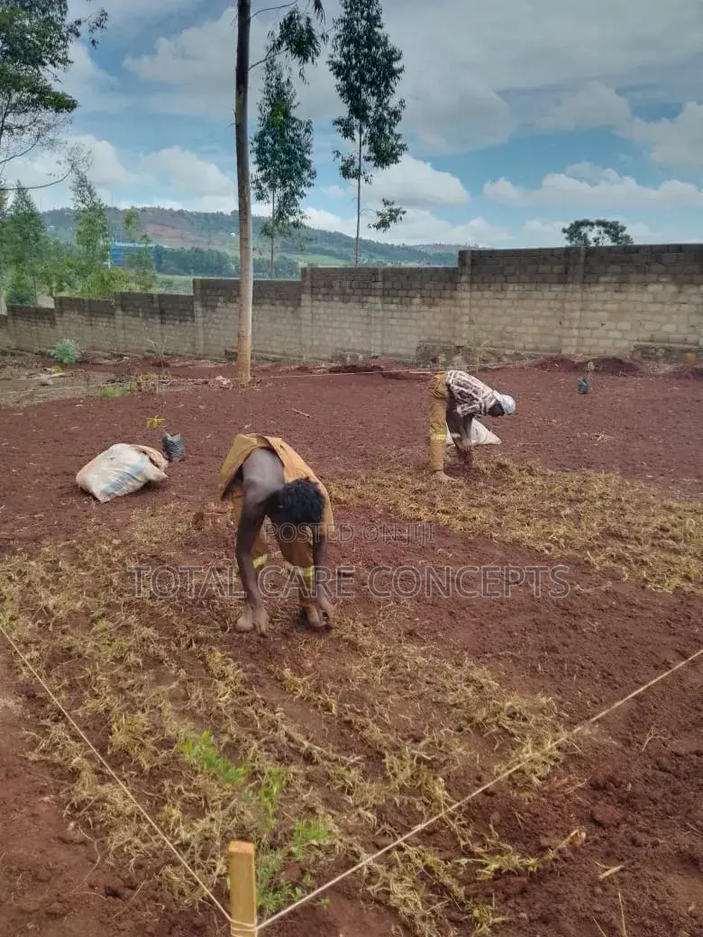 Best Landscapers and Gardening Services