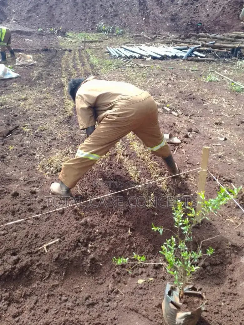 Best Landscapers and Gardening Services