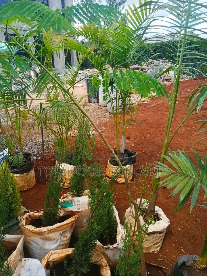 Best Landscapers and Gardening Services