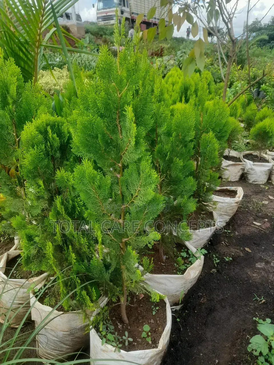 Best Landscapers and Gardening Services