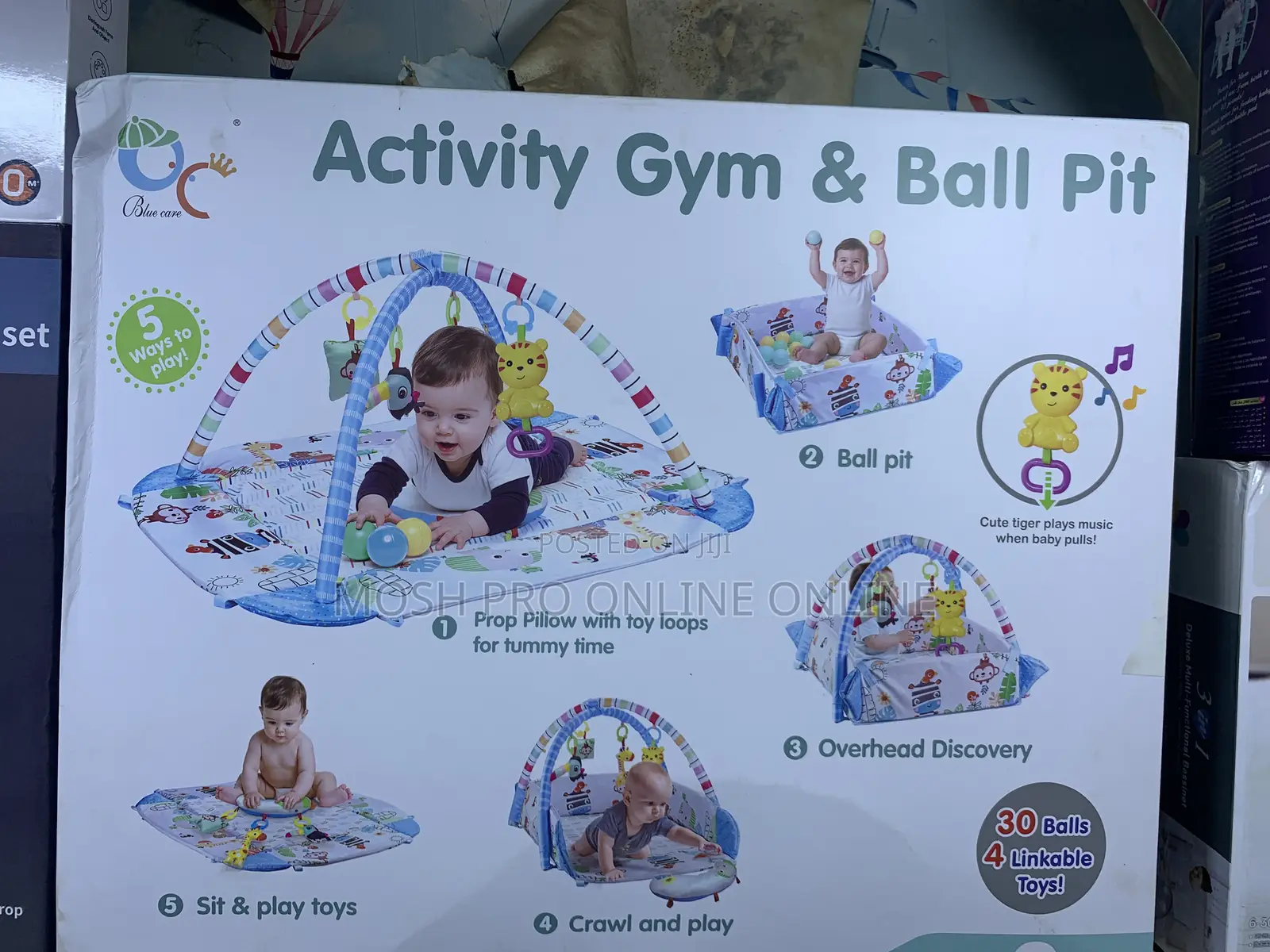 Activity Gym and Ball Pit