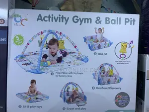 Activity Gym and Ball Pit