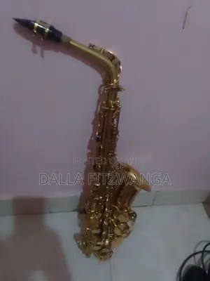 Alto Saxophone