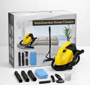DF-A968 Multifunction Heavy Duty 1800W Steam Cleaner Steamer
