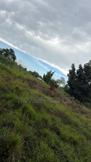 Plots for Sale at Mpoma Mukono