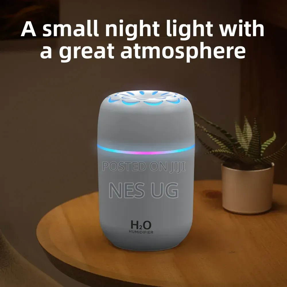 Portable Ultrasonic USB Humidifier Diffuser - White
