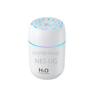 Portable Ultrasonic USB Humidifier Diffuser - White