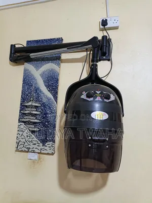 Wall Mount Hair Dryer
