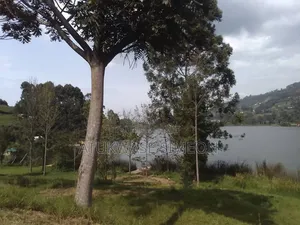 Lake Bunyonyi Kabale