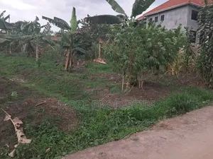 Kasangati Kiti 50x100 Plot for Sale.