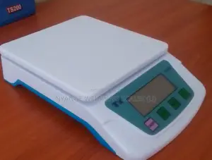 Electronic Compact Weighing Scale Digital Weigh Portable Weighing Scal