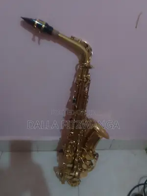 Alto Saxophone