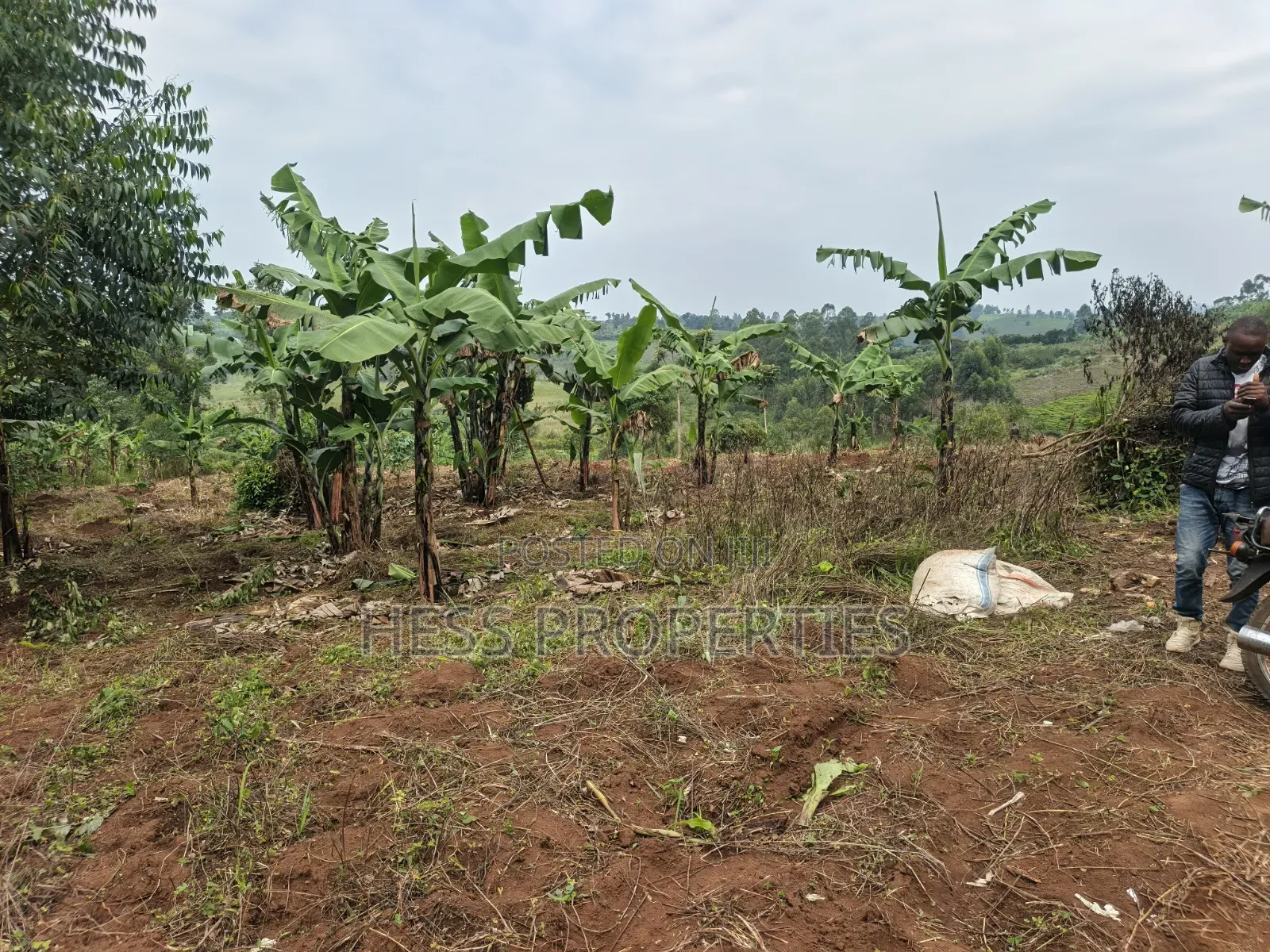 1.8acres of Agricultural Land on Sale in Kyenjojo District