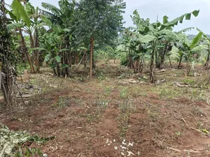 1.8acres of Agricultural Land on Sale in Kyenjojo District