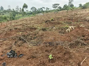 1.8acres of Agricultural Land on Sale in Kyenjojo District
